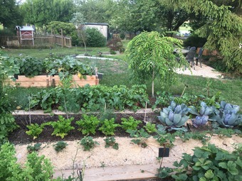 Le potager de Mandres sur Vair