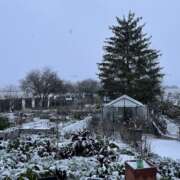 jardin en hiver