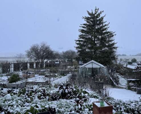 jardin en hiver