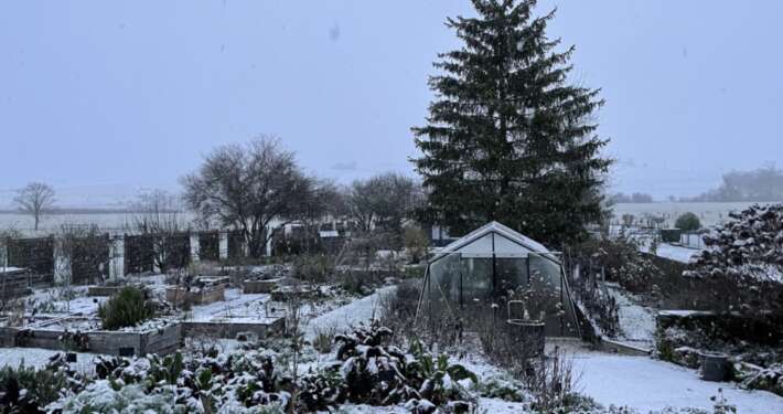 jardin en hiver