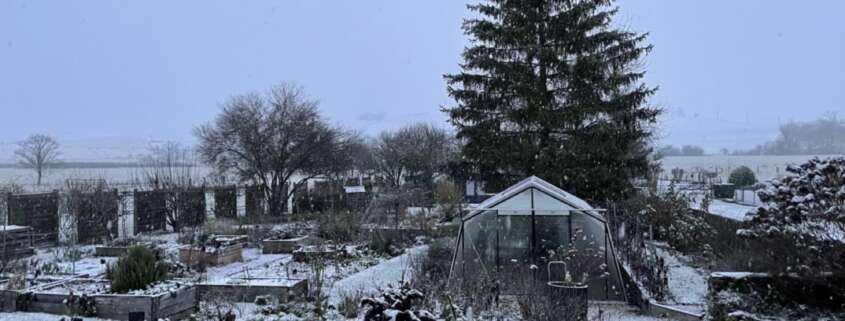 jardin en hiver