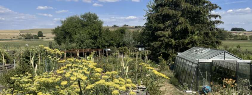 potager en été Mandres 2022